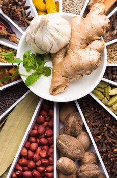 Indian spices